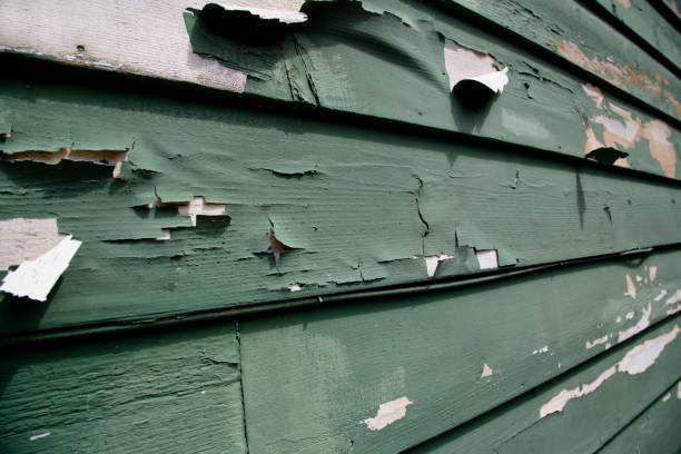 Best Demolition Debris Removal  in La Presa, CA